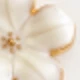 Lucky White Five-leaf Clover