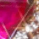 Gold-rose Red Diamond
