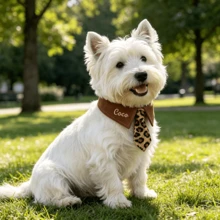 Personalized Plaid Dog Bandana – Custom Embroidered Pet Bandana For Dogs & Cats - Puppy Gift - Leopard Print - View 7