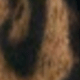 Brown Leopard Print