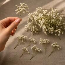25/50/100/Pcs Mini Baby's Breath And Other Artificial Flowers - For Resin Mold Art And Handicrafts, Used For Hair Accessories, Wedding Wreaths, Table Flowers, Home Decor, Etc. - White and Green Rod - View 2