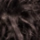 S2