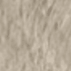 Albaricoque