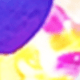 Colorful Cat