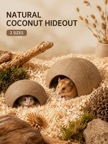 1pc Natural Coconut Shell Small Pet Hideout, Hand-Polished Semi-Circular Hamster Gnawing & Resting Nest, Small/Large Sizes Available, Suitable For Hamsters, Dwarf Hamsters And Fancy Rats Daily Habitat - Round - View 4