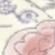 多色