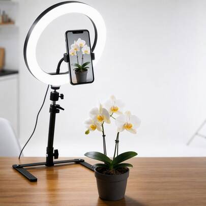 Borriig 10" LED Ring Light With Tripod & Phone Holder, Dimmable Warm/Cool Light 3 Color Modes For Selfie, Live Stream, Video, Photography - Mother's Day Gift,Christmas Gift,Gift For Her