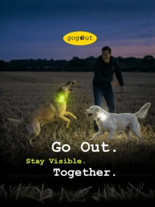 This Rechargeable LED Dog Safety Light Is Perfect For Nighttime Walks. It Can Be Clipped To A Collar, Harness, Or Leash, Providing High Visibility, Is Waterproof, And Comes With A USB-C Port. - Multicolor - View 5