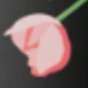 Black Tulip