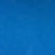 Blue Horner CYFC