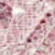 Rose Pink