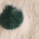Rice Green