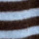 Cokelat dan biru