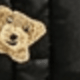 Black Climbing Bear