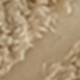 CR107
