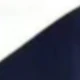 Navy Blue and White