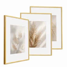 Mosearon 3pcs/2pcs/1pc Aluminum Alloy Minimalist Photo Frame 30x40cm, A3 A4 Classic Metal Photo Frame, A4 Certificate Frame, High-Quality Metal Brushed Texture, High-Resolution Organic Glass, Vertical And Horizontal Display - 0815 Flat Aluminum Alloy - View 1