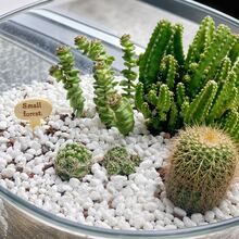 200/400/800g Natürliche weiße Mini-Kieselsteine, 0,6-0,9cm, Mehrzweck-Gartenschotter, geeignet für Kakteen, Bonsai, Terrarien und Feengärten, ideal für DIY-Bastelarbeiten, Glasvasen-Füllmaterial und Heimdekoration - kleine Steine - Übersicht 3
