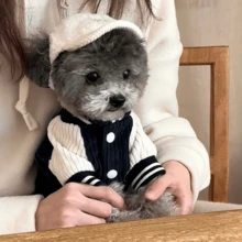 1pc New Brand Hooded Vest With Leash Attachment, Denim Effect Spring/Autumn Pet Clothing For Small Dogs, Bichon, Teddy, Cats - Black - View 8