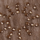 MSL548 Camel