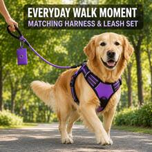 BVEOYPET 3pcs Adjustable Purple Dog Harness And 1.5m Leash Set, Black Mesh Puppy Essentials, Dog Accessories And Supplies, Suitable For Medium And Large Dogs Daily Walking - Multicolor - View 8