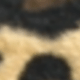 Multi-color Leopard Print
