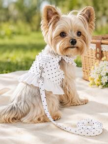 1pc Pet Harness Dress With Matching Leash, Polka Dot Ruffle Hem Design, Adjustable Size, Suitable For Small And Medium Dogs, Outdoor Walking, Daily Wear, Party Photos, Spring/Summer Pet Clothing - Multicolor - View 1