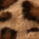 Leopard Print