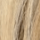 Blonde Highlight