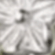 Type C