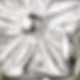Type C