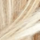 Blonde Ombre