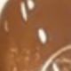 Mocha Brown