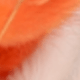 White and Orange