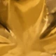 Dorado 44