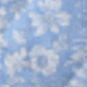 Blue and White