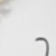Multicolor