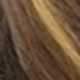 Brown Highlight