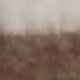 White/brown