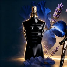 عطر - دافئة وحارة - مشاهدة 2