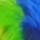 Multicolor