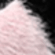 Plush Cat Ears