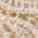 milk coffee color