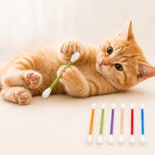 Catnip Toys - Multicolor - View 4