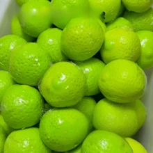 5 buah Mainan Gelisah Berbentuk Lemon Kuning, Bola Mainan Tangan dengan Tekstur Kulit Bergelombang, Hiasan Meja Buah Jeruk Segar, Hadiah Kecil Koleksi Unik - MultiWarna - View 6