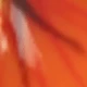Burnt Orange