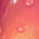 Rose Red