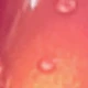 Rose Red