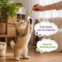 Catnip Toys - Multicolor - View 7