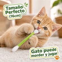 Catnip Toys - Multicolor - View 8